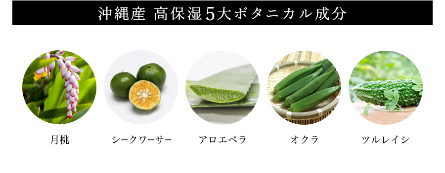 沖縄産高保湿5大ボタニカル成分