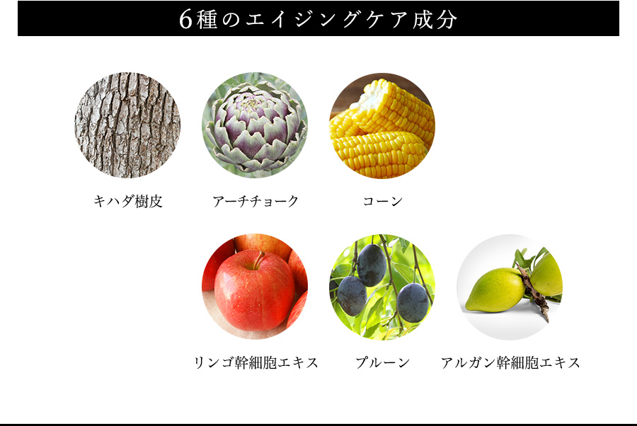 6種のエイジングケア成分