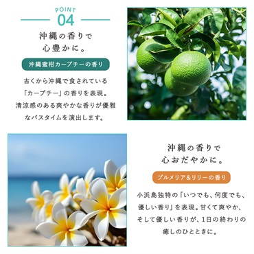 沖縄産マリンクレイシャンプー（クリームタイプ）カーブチーの香り 400ml 詳細画像