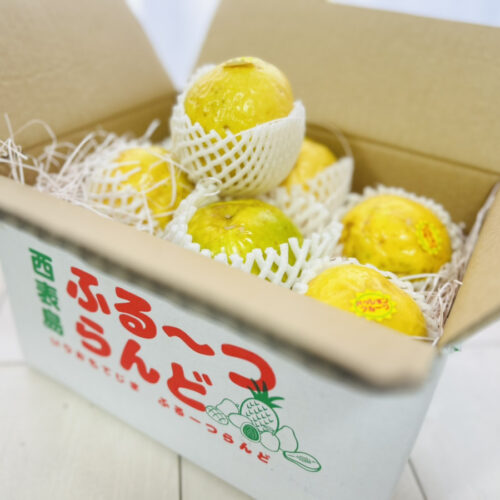 首里散歩 Vol.455 島からの恵みとご縁